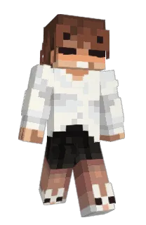 Front of zest's skin