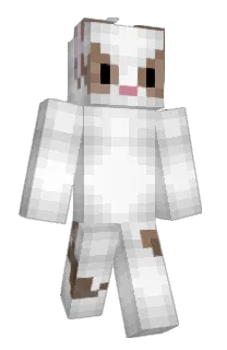 Front of Yolebsito's skin