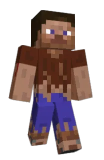 toto4315's Minecraft skin