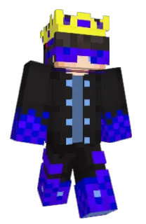 Front of CeilingBird's skin