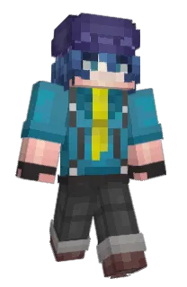 Front of Devji's skin
