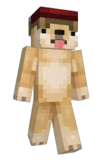 Front of Minecraft skin