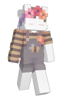 Front of 62015's skin