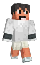 Classic Minecraft skin
