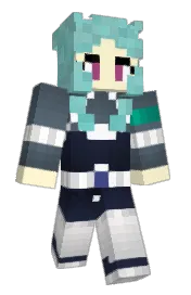 Skin preview