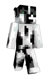Front of ScreenWorm's skin