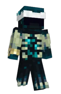Front of phrigerator's skin