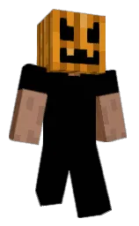 Minecraft-Skin in black und rich gold — Modell: Schmal