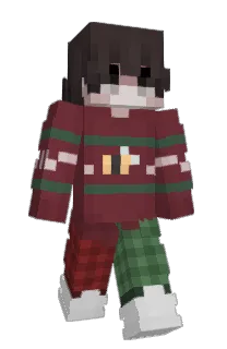 Front of L008's skin