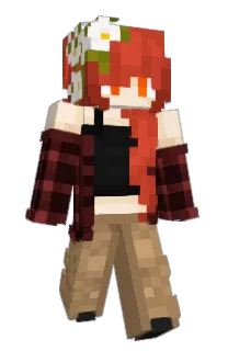 Front of Minecraft skin