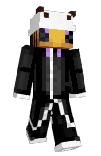 Front of Netlocus's skin