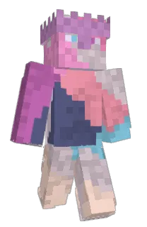 Front of holdplacer's skin