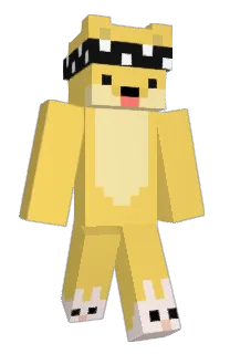 Front of Spider's skin