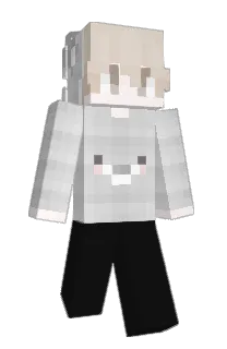 Front of Ninja's skin