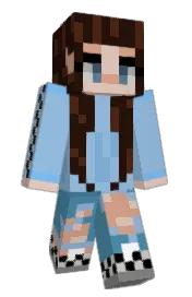 Skin preview