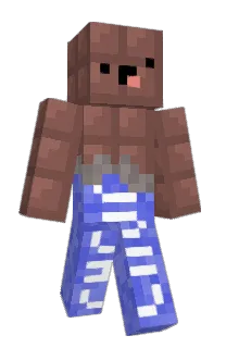 VasoDeAgua's Minecraft skin