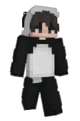 ZoolSonic1