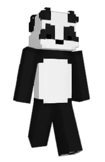 camcup_'s Minecraft skin