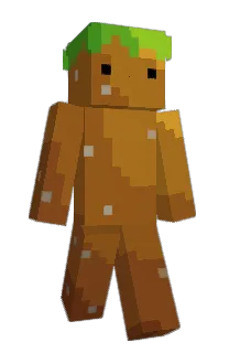 Front of I_got_particles's skin