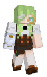 Minecraft skin — Classic model