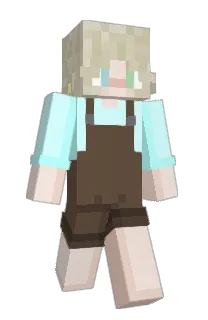 Front of BiTurtle's skin