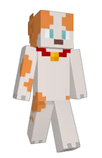 Front of mraf's skin