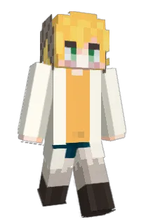 Front of scarcovy's skin