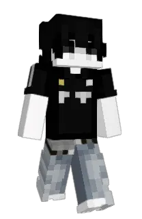 Front of irlv's skin