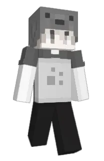 Front of pausa's skin