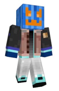 Front of LP0320's skin