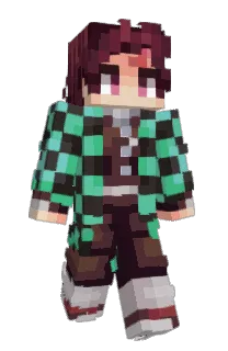 Front of amlx's skin