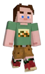 Minecraft skin — Classic model