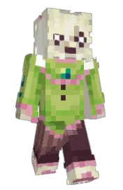 Skin preview