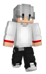 Minecraft skin — Classic model