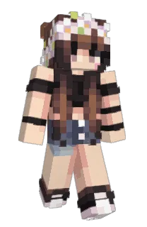 Front of tallymarks's skin