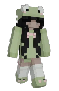 Front of TOT0RO's skin