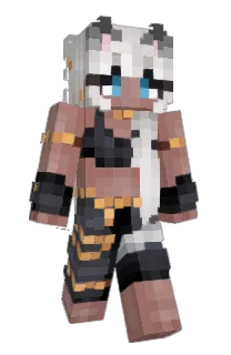 Front of Taquineuse's skin