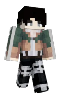Front of Wolfilla's skin