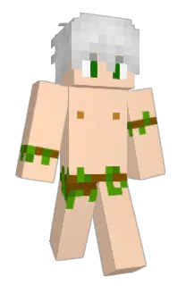 Front of xekelet's skin