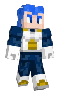 Front of vegetrunks's skin