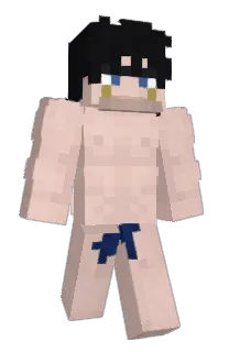 Front of Vagon_Karman's skin