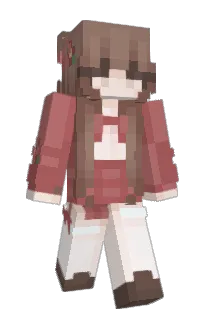 Front of Pixeloid's skin