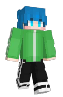 Front of K_1b's skin