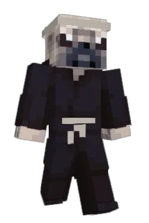 7Pugs Minecraft avatar full body