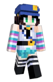Skin preview