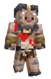 Skin preview