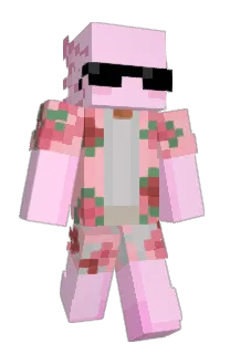 Front of warmnost's skin