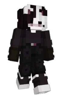 Front of polytatsumi's skin
