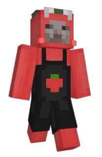 Front of ak5s's skin