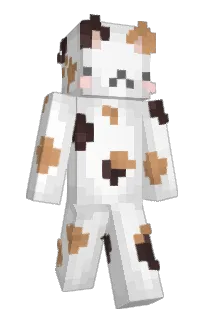 Front of ikuzia's skin